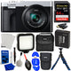 Panasonic TZ99/ZS99 Digital Camera (Silver) DC-TZ99E-S - 12PC Accessory Bundle Panasonic