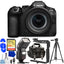Canon EOS R6 Mark III Mirrorless Camera and 24-105mm f/4-7.1 IS STM Lens Kit