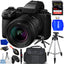 Panasonic Lumix S5 IIX spiegellose Kamera mit 20-60-mm-Objektiv PPCKIT Bundle 2