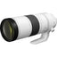 Canon RF 200-800 mm f/6,3-9 IS USM-Objektiv (Canon RF)