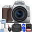 Canon EOS 250D mit EF-S 18-55mm f/4-5.6 IS STM Objektiv (Silber) 7-teiliges Zubehörset