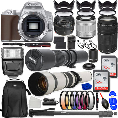 Canon EOS 250D/Rebel SL3 DSLR Camera (Silver, Body Only) - 30PC Accessory Bundle