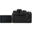 Panasonic Lumix DC-FZ1000 II Digital Camera DC-FZ1000M2 + Sandisk Extreme 32GB