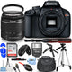 Canon EOS Rebel T100/4000D Camera with 18-55mm DC III Lens + 64GB + Flash Bundle Canon