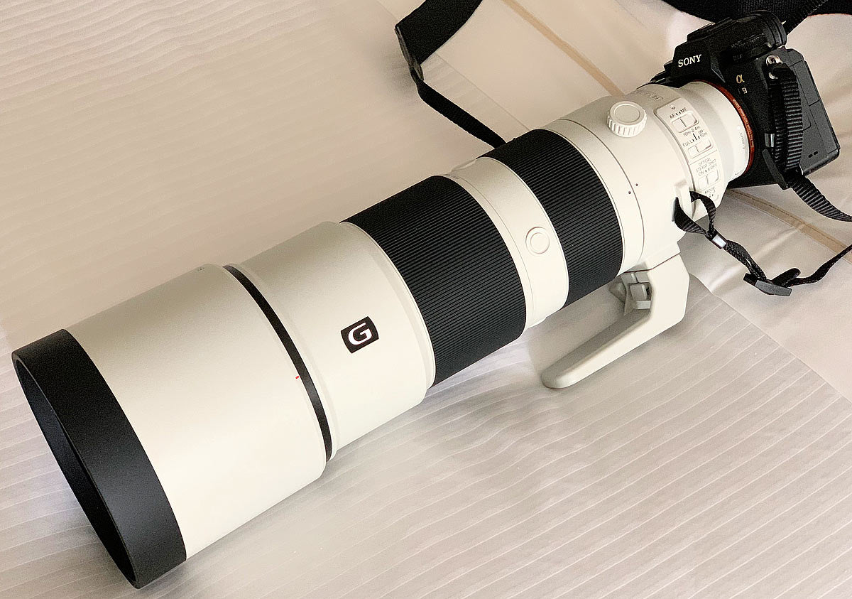 Sony FE 200-600 mm f/5,6-6,3 G OSS-Objektiv - SEL200600G