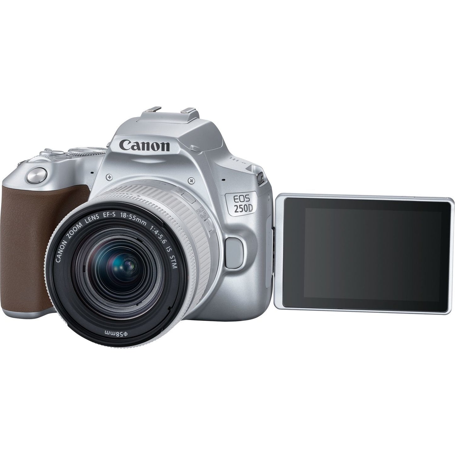 Canon EOS 250D with EF-S 18-55mm f/4-5.6 IS STM Lens (Silver) 15PC Accessory Kit