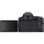 Canon EOS Rebel SL3 DSLR mit 18-55 mm und 55-250 mm Objektiv + 32 GB + großes Gehäuse