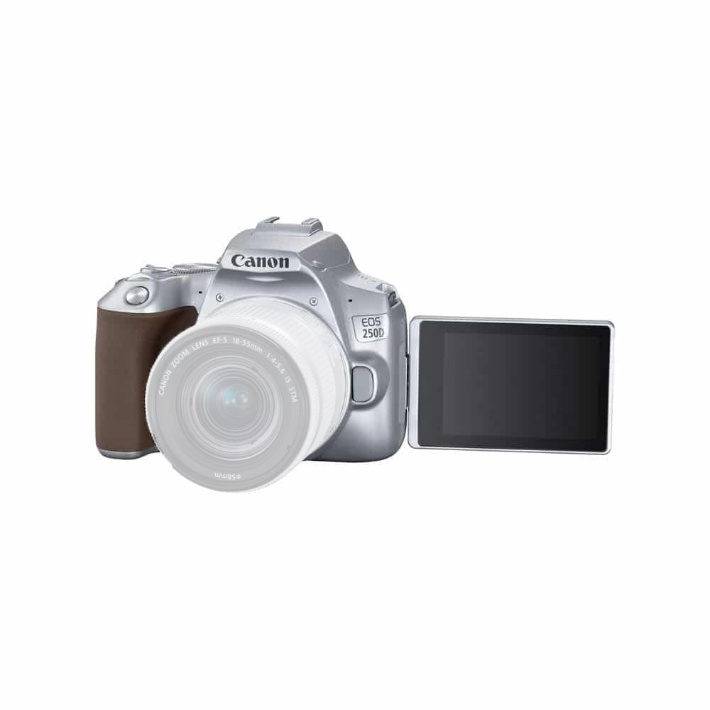 Canon EOS 250D/Rebel SL3 DSLR-Kamera (Silber, nur Gehäuse) – 7-teiliges Zubehörpaket