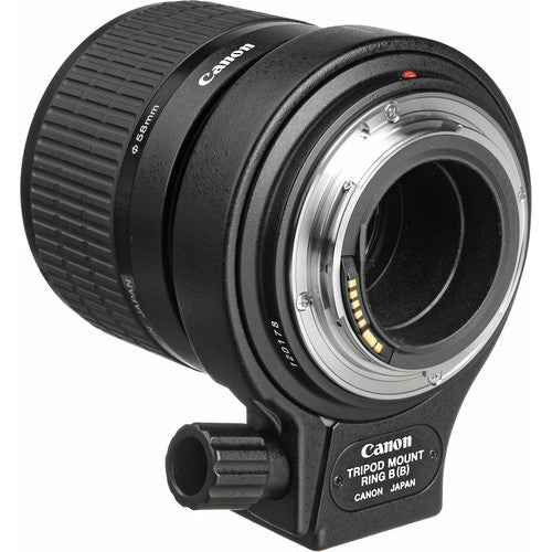 Canon MP-E 65mm f/2.8 1-5x Macro Photo Lens - 2540A002