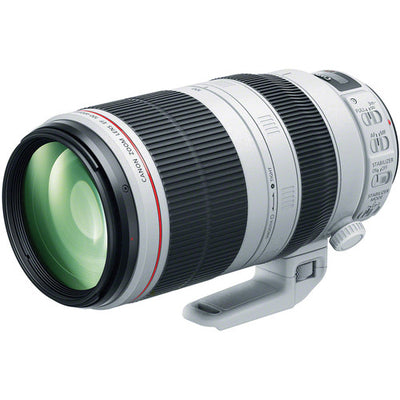 Canon EF 100–400 mm 1:4,5–5,6L IS II USM-Objektiv + Makro-/Nahaufnahme-Objektivpaket