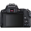 Canon EOS Rebel SL3 DSLR mit 18-55 mm und 55-250 mm Objektiv + 32 GB + großes Gehäuse