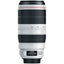 Canon EF 100–400 mm 1:4,5–5,6L IS II USM-Objektiv + Makro-/Nahaufnahme-Objektivpaket