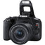 Canon EOS Rebel SL3 DSLR mit 18-55 mm und 55-250 mm Objektiv + 32 GB + großes Gehäuse