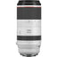 Canon RF 100-500mm f/4.5-7.1L IS USM Objektivpaket 1