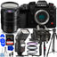 Panasonic Lumix GH6 mit 12-60 mm f/2.8-4 Objektiv DC-GH6LK - 12-teiliges Zubehörpaket