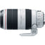 Canon EF 100-400mm f/4.5-5.6L IS II USM Objektiv 9524B002 + Filter Kit Bundle